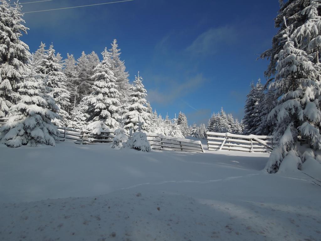 Blockhaus Bodefall Braunlage Room photo