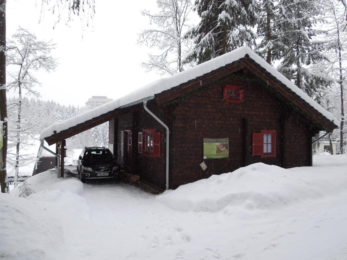 Blockhaus Bodefall Braunlage Exterior photo